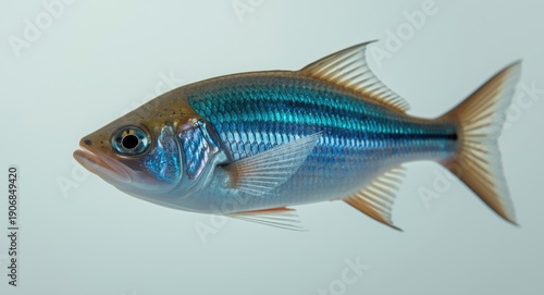 Close detailed shot of a bl...