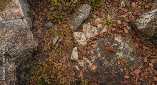 Abstract pattern of rocky s...