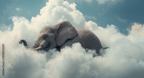 Heartwarming image of a joyful tiny elephant napping on cottony clouds