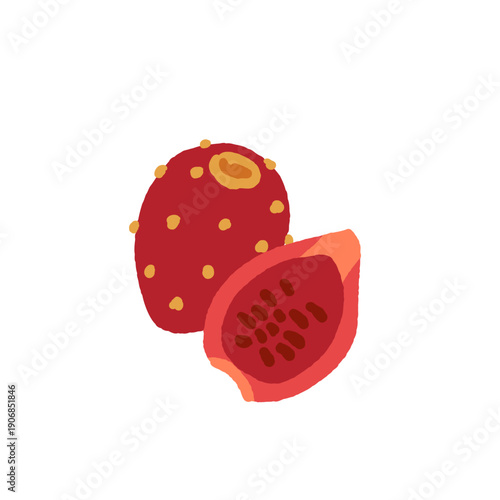 Exotic tropical fruits vector illustration set with grape melon fig cloudberry prickly pear salak akebia physalis tamarind gooseberry kiwano longan finger lime mulberry granadilla flat design