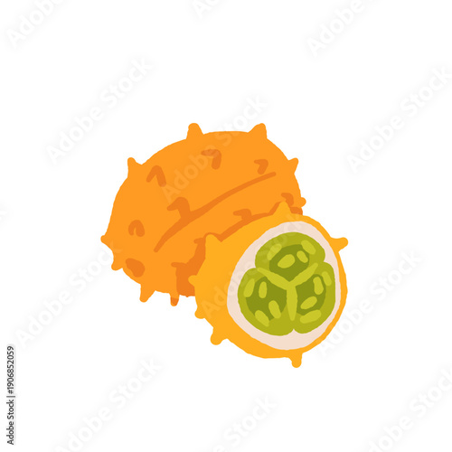 Exotic tropical fruits vector illustration set with grape melon fig cloudberry prickly pear salak akebia physalis tamarind gooseberry kiwano longan finger lime mulberry granadilla flat design