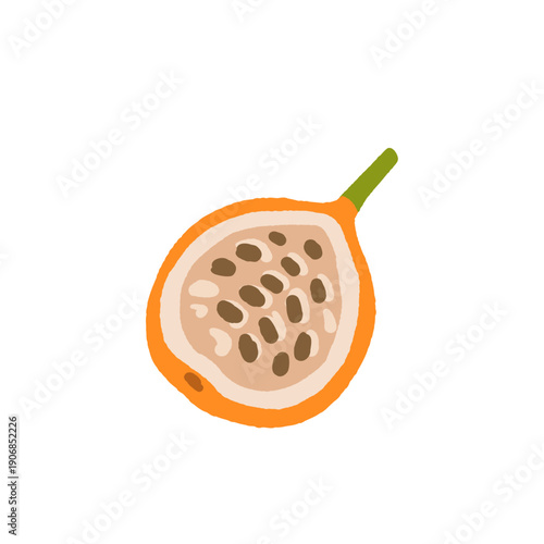 Exotic tropical fruits vector illustration set with grape melon fig cloudberry prickly pear salak akebia physalis tamarind gooseberry kiwano longan finger lime mulberry granadilla flat design