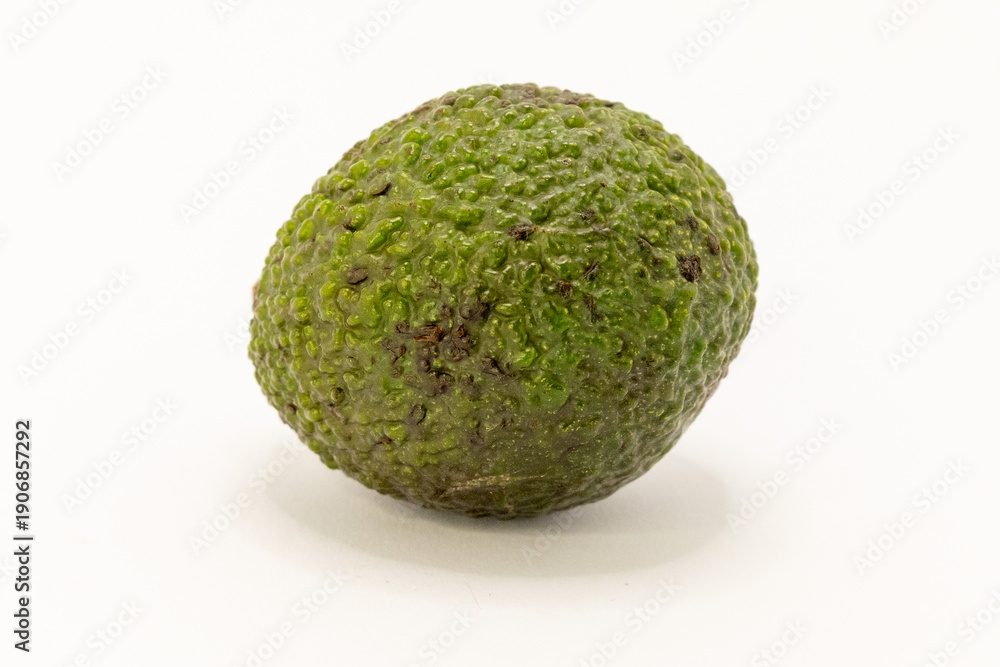 Obraz premium A fresh, whole green avocado on a white background, ready for healthy meals or culinary use.