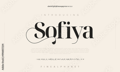 Elegant Font, aesthetic, Uppercase Lowercase and Number. wedding font, Classic Lettering Minimal Fashion Designs. Typography modern serif fonts regular decorative vintage concept. vector illustration 