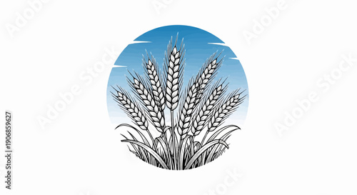 Bunch of wheat stalks with grass and blue sky background