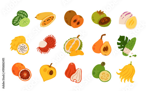 Rare exotic fruits vector illustration set with cucamelon banana passionfruit sapodilla black sapote pepino yellow pitaya rambutan durian loquat monstera blood orange canistel feijoa buddha hand