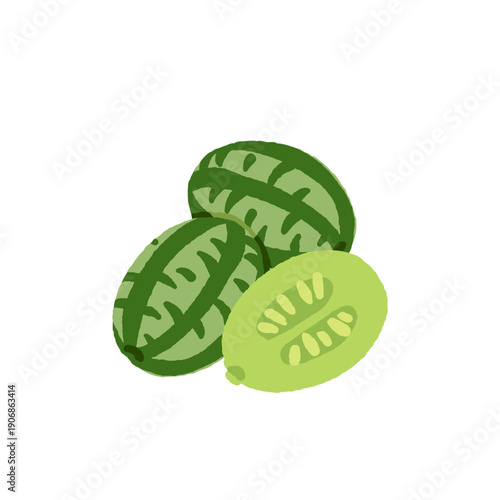 Rare exotic fruits vector illustration set with cucamelon banana passionfruit sapodilla black sapote pepino yellow pitaya rambutan durian loquat monstera blood orange canistel feijoa buddha hand