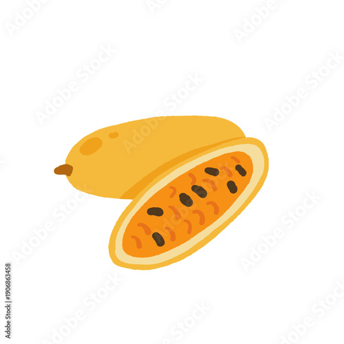 Rare exotic fruits vector illustration set with cucamelon banana passionfruit sapodilla black sapote pepino yellow pitaya rambutan durian loquat monstera blood orange canistel feijoa buddha hand