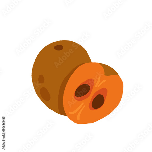 Rare exotic fruits vector illustration set with cucamelon banana passionfruit sapodilla black sapote pepino yellow pitaya rambutan durian loquat monstera blood orange canistel feijoa buddha hand