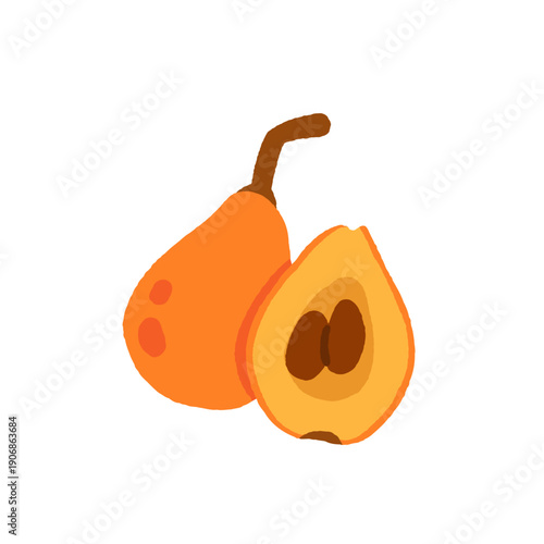 Rare exotic fruits vector illustration set with cucamelon banana passionfruit sapodilla black sapote pepino yellow pitaya rambutan durian loquat monstera blood orange canistel feijoa buddha hand