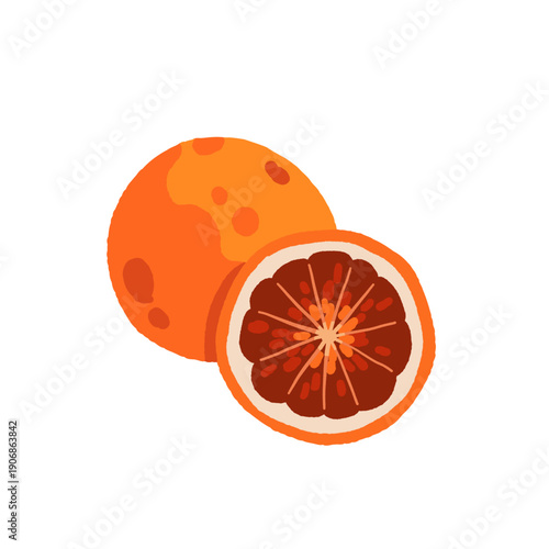 Rare exotic fruits vector illustration set with cucamelon banana passionfruit sapodilla black sapote pepino yellow pitaya rambutan durian loquat monstera blood orange canistel feijoa buddha hand