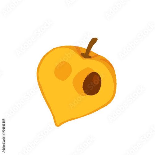 Rare exotic fruits vector illustration set with cucamelon banana passionfruit sapodilla black sapote pepino yellow pitaya rambutan durian loquat monstera blood orange canistel feijoa buddha hand