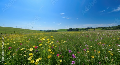 Bright sunny field with cle...