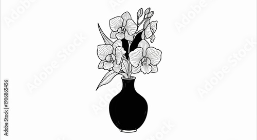 Black vase holding blooming orchids with buds and leaves