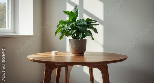 healthy green potted plant ...