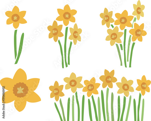 黄色い水仙の花のイラストセット