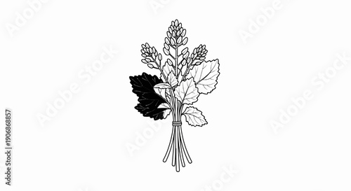 Delicate outline illustration of a tied bunch of leafy plants with flower buds