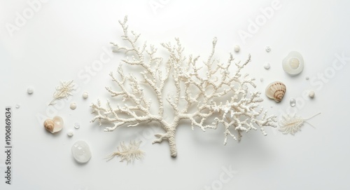 Elegant white coral branche...