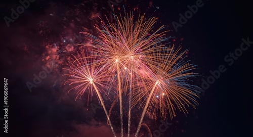 Brilliant fireworks illumin...
