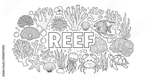 Black and white illustration of a reef with various sea creatures and coral around the word REEF, perfect as a coloring page or educational material.