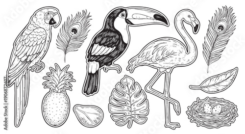 Hand-drawn collection of tropical illustrations including a parrot, toucan, flamingo, pineapple, and monstera leaf, showcasing a vintage, engraved style for various design projects.