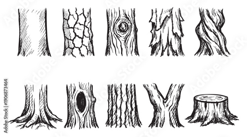 Black and white line art illustration featuring different tree trunk and stump types. Useful for educational material, nature guides, design elements.