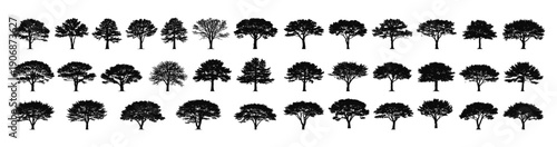 Collection of various tree silhouettes against a white background.