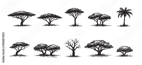 Black and white vector illustration featuring various tree types. Perfect for nature themed designs, landscapes, silhouetted elements and illustration elements for design projects.