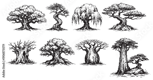 Collection of eight diverse, hand-drawn tree illustrations. Black and white. Variety of tree species and silhouettes. Ideal for graphic design, illustrations, or educational materials.