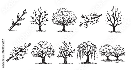 Hand-drawn tree illustrations featuring different tree varieties including fruit, weeping willow, bare and full trees. Black ink sketch on white background. Great for graphics.