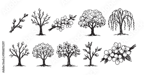 Hand-drawn tree and branch collection in black and white. Perfect for spring, nature, ecology or botanical themed designs, illustrations and patterns.