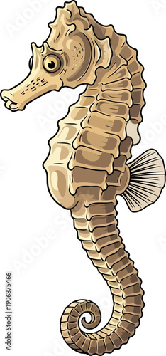 Detailed seahorse with bony ridges and curled tail