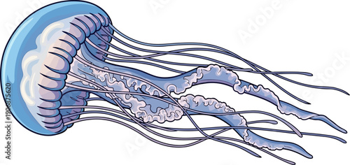 Ethereal blue jellyfish with long flowing tentacles