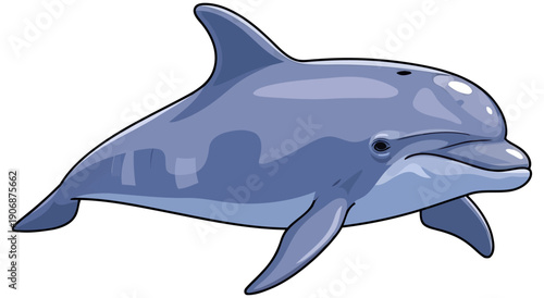 Friendly dolphin swimming in the calm ocean water