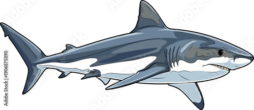 Great white shark swimming in open deep water