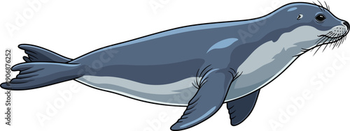 Harbor seal swimming gracefully in the ocean