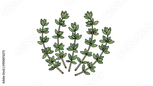Vibrant hand-drawn green herbal sprigs perfect for culinary projects cooking blogs recipe illustrations and organic branding showcasing fresh