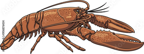Large brown lobster side profile showing powerful claws and shell