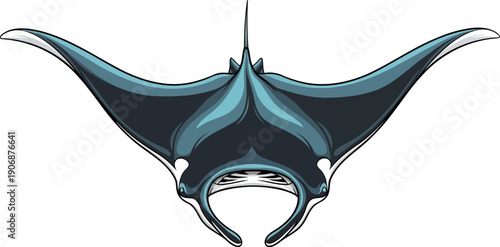 Majestic manta ray swimming with wide pectoral fins spread
