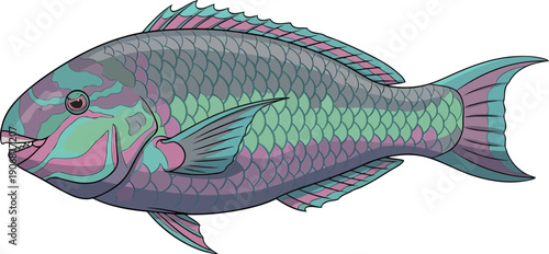 Profile of a multicolored parrotfish with distinct scale patterns