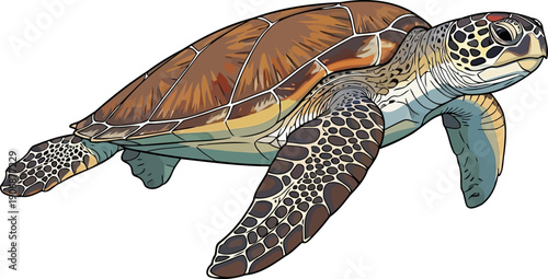 Profile of a swimming sea turtle showing shell patterns