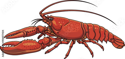 Red lobster with large claws and long antennae