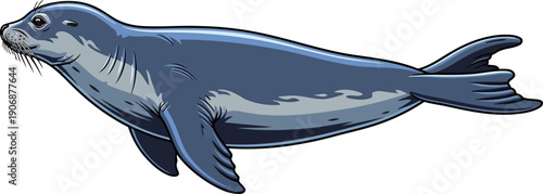 Sleek grey harbor seal swimming through deep blue ocean water