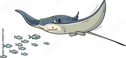 Sleek stingray swimming with school of small fish