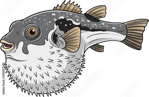 Spiky pufferfish inflated for defense in the water