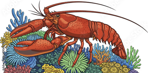 Vibrant red spiny lobster resting on colorful coral sea anemones