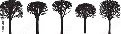 Black Solid Pollarded City Tree Silhouettes Set of Six on White Background