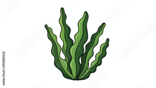 Vibrant green aquatic plant illustration, featuring flowing wavy fronds. Its two-tone shading stands out against a pure white background. Ideal for