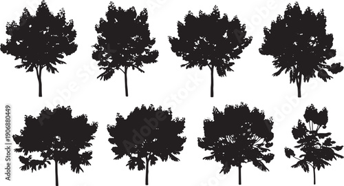 Black Solid Purple Jacaranda Tree Silhouettes Set of Six on White Background