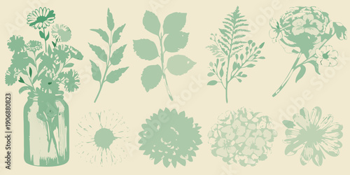 A collection of botanical illustrations featuring various flowers and foliage